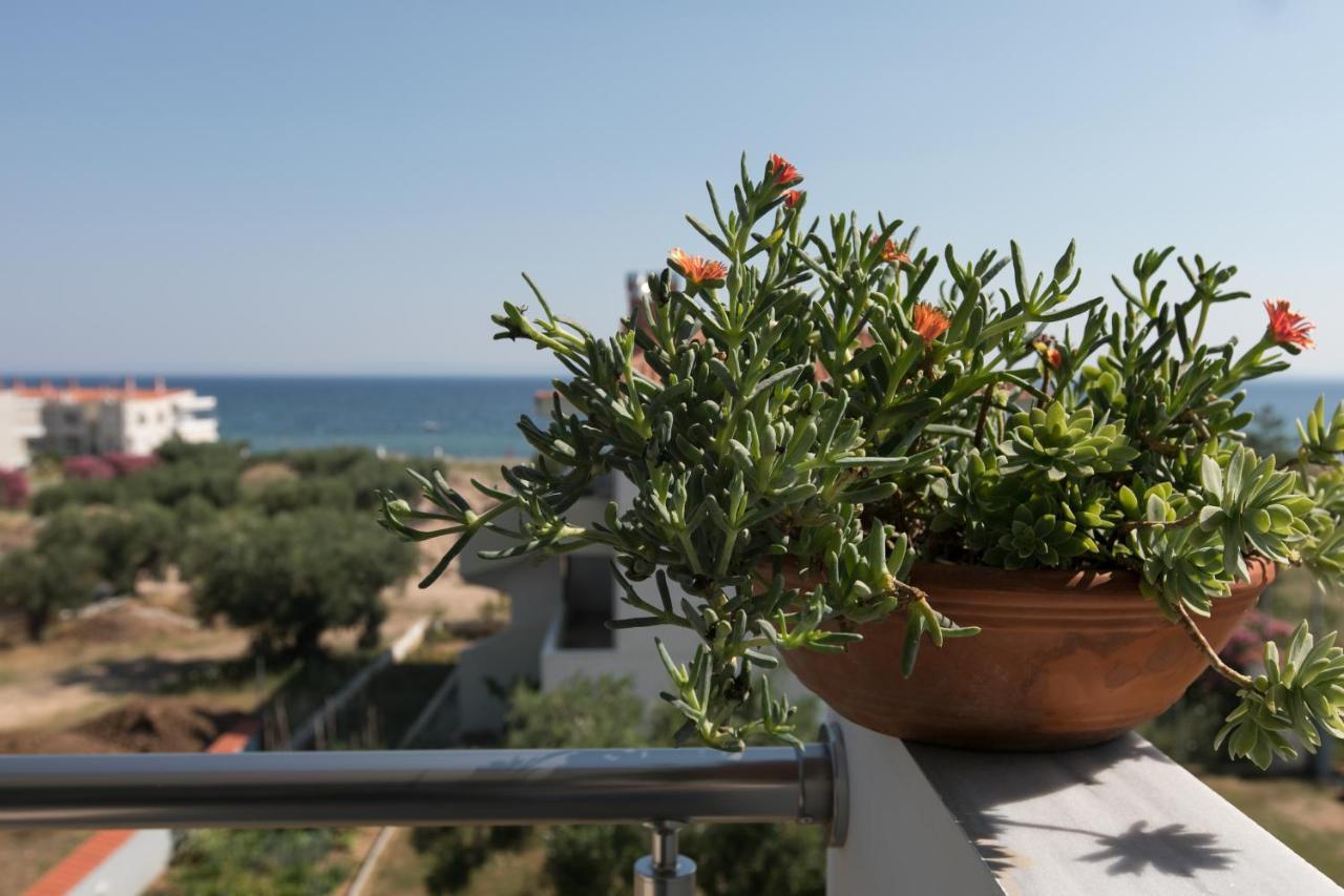 The House Of The Roses Apartamento Gerakini Exterior foto